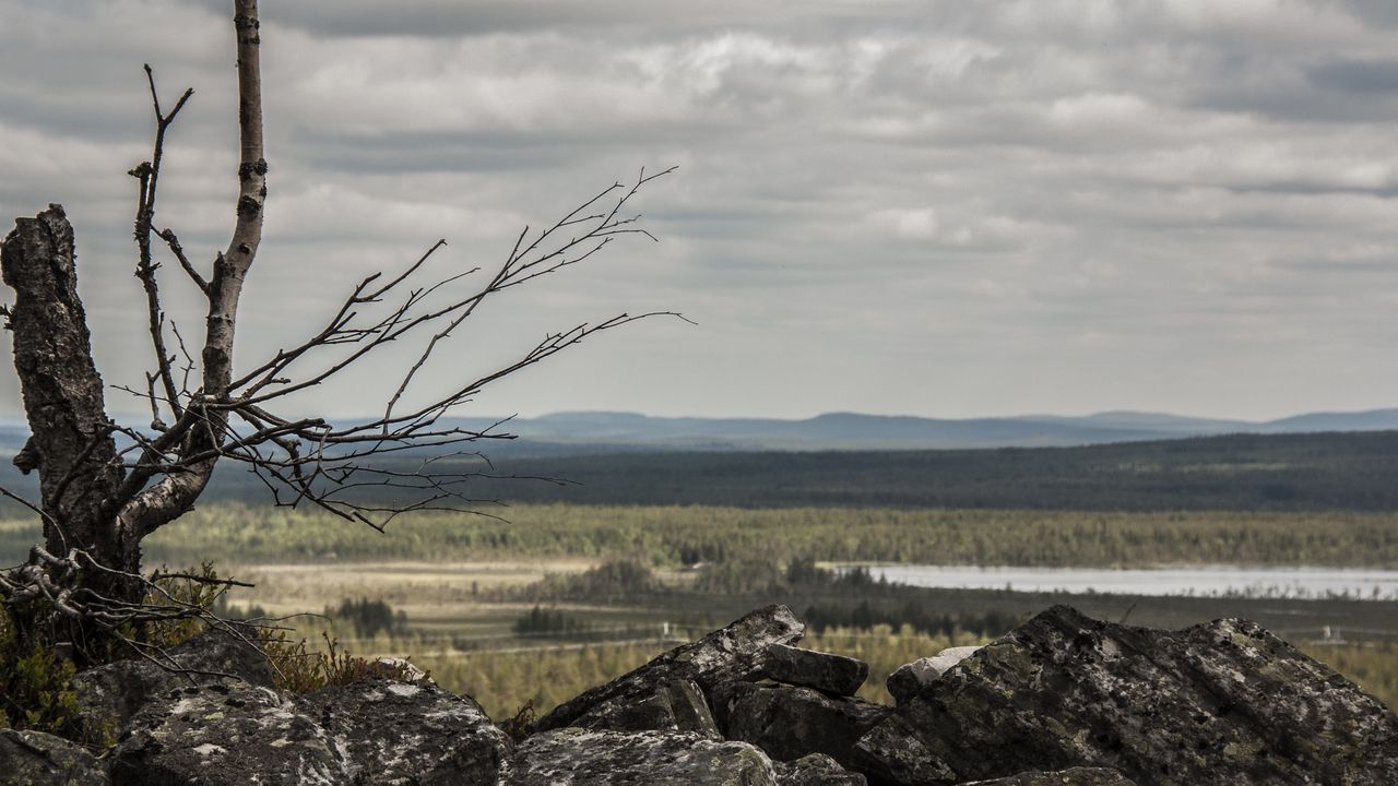 Wallpaper lapland, stones, wood