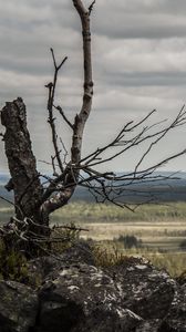 Preview wallpaper lapland, stones, wood