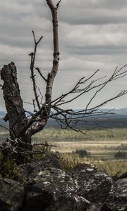 Preview wallpaper lapland, stones, wood