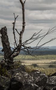 Preview wallpaper lapland, stones, wood