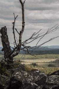 Preview wallpaper lapland, stones, wood