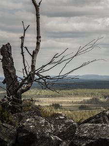 Preview wallpaper lapland, stones, wood