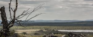 Preview wallpaper lapland, stones, wood