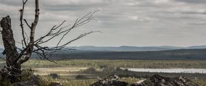 Preview wallpaper lapland, stones, wood