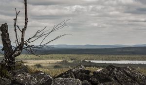 Preview wallpaper lapland, stones, wood