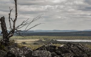 Preview wallpaper lapland, stones, wood