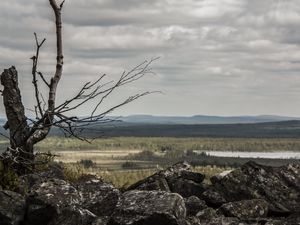 Preview wallpaper lapland, stones, wood