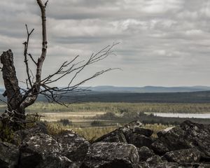 Preview wallpaper lapland, stones, wood