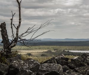 Preview wallpaper lapland, stones, wood