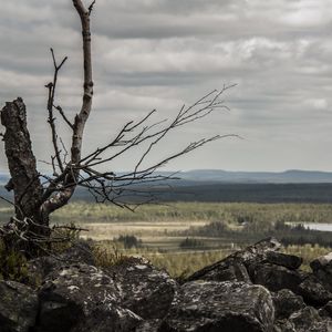 Preview wallpaper lapland, stones, wood