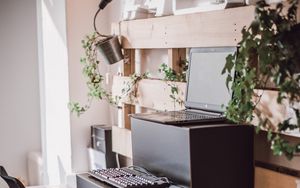 Preview wallpaper laptop, keyboard, desktop, houseplants, room