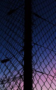 Preview wallpaper lattice, fence, mesh, sunset, sky