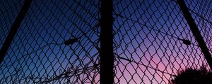 Preview wallpaper lattice, fence, mesh, sunset, sky