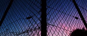 Preview wallpaper lattice, fence, mesh, sunset, sky