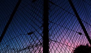 Preview wallpaper lattice, fence, mesh, sunset, sky