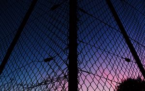 Preview wallpaper lattice, fence, mesh, sunset, sky