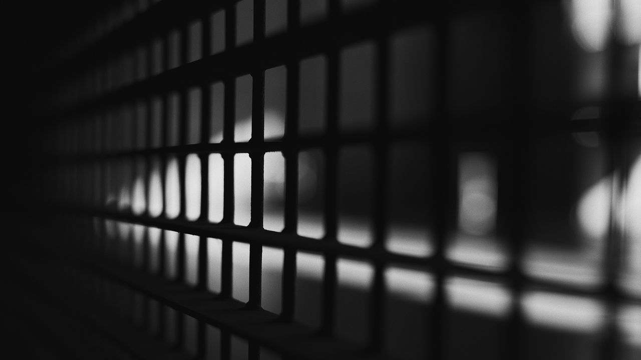 Wallpaper lattice, mesh, bw, blur