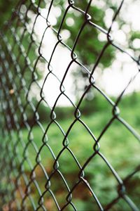 Preview wallpaper lattice, mesh, fence, focus