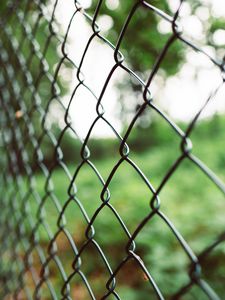 Preview wallpaper lattice, mesh, fence, focus