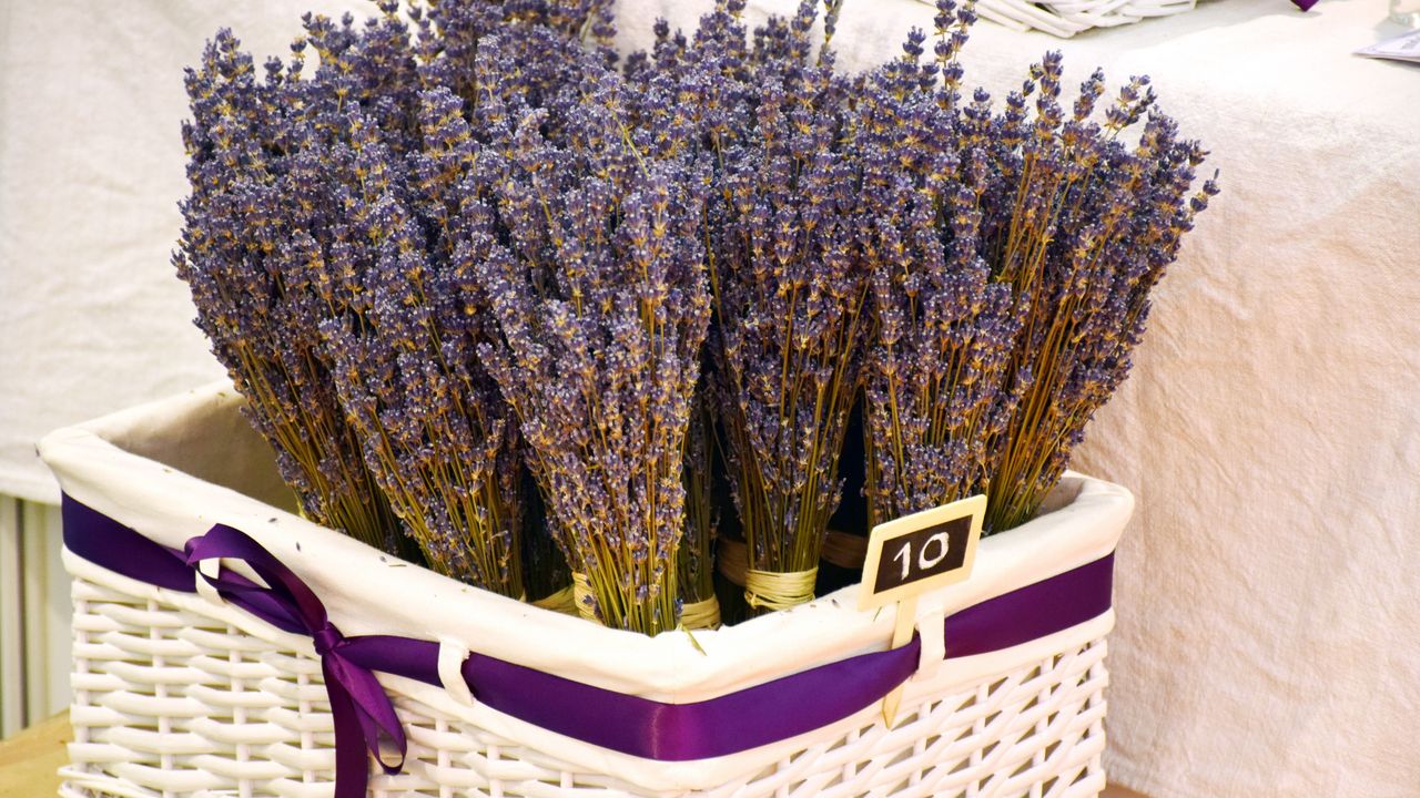 Wallpaper lavender, basket, flowers, fragrance
