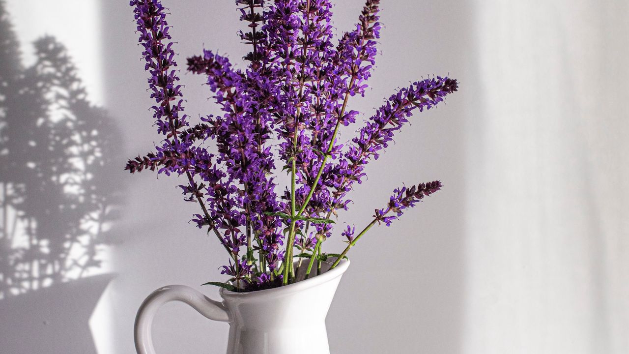 Wallpaper lavender, bouquet, vase, nut, white