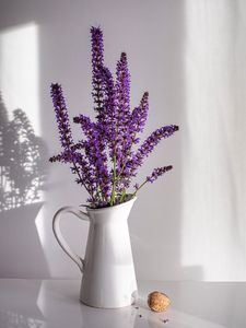 Preview wallpaper lavender, bouquet, vase, nut, white