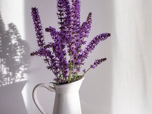 Preview wallpaper lavender, bouquet, vase, nut, white