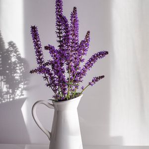 Preview wallpaper lavender, bouquet, vase, nut, white