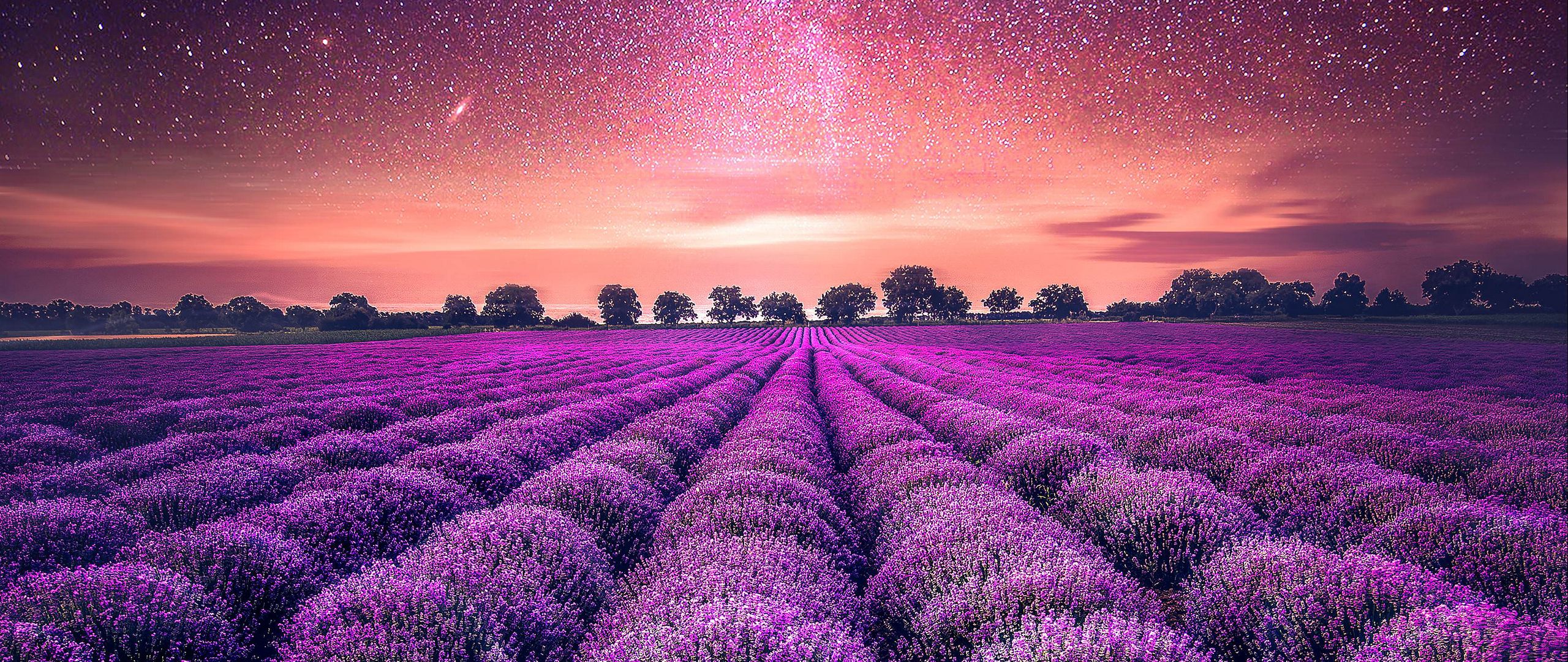 Красивые картинки в фиолетовых тонах