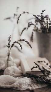 Preview wallpaper lavender, flowers, branches, book, aesthetics