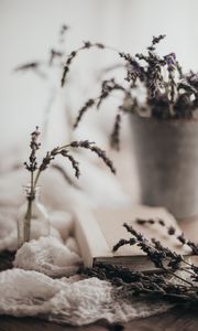 Preview wallpaper lavender, flowers, branches, book, aesthetics