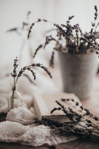 Preview wallpaper lavender, flowers, branches, book, aesthetics