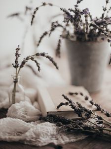 Preview wallpaper lavender, flowers, branches, book, aesthetics