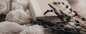 Preview wallpaper lavender, flowers, branches, book, aesthetics