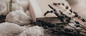 Preview wallpaper lavender, flowers, branches, book, aesthetics