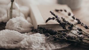 Preview wallpaper lavender, flowers, branches, book, aesthetics