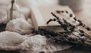 Preview wallpaper lavender, flowers, branches, book, aesthetics