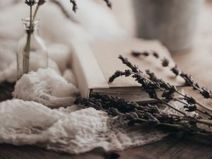 Preview wallpaper lavender, flowers, branches, book, aesthetics