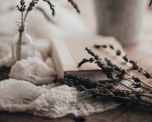 Preview wallpaper lavender, flowers, branches, book, aesthetics