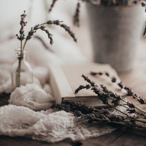 Preview wallpaper lavender, flowers, branches, book, aesthetics