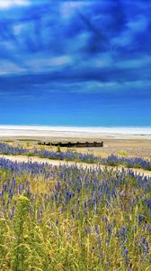 Preview wallpaper lavender, flowers, field, coast, sea, landscape