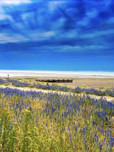 Preview wallpaper lavender, flowers, field, coast, sea, landscape