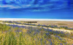 Preview wallpaper lavender, flowers, field, coast, sea, landscape