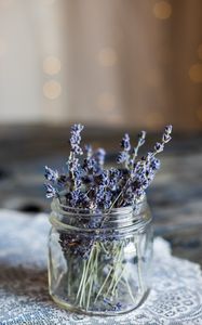 Preview wallpaper lavender, flowers, jar, dry