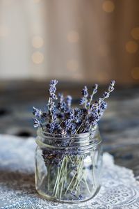 Preview wallpaper lavender, flowers, jar, dry