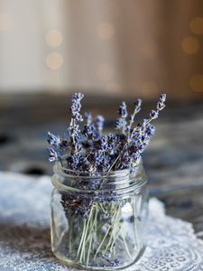 Preview wallpaper lavender, flowers, jar, dry