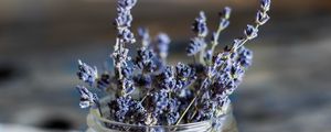 Preview wallpaper lavender, flowers, jar, dry