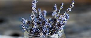 Preview wallpaper lavender, flowers, jar, dry
