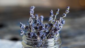 Preview wallpaper lavender, flowers, jar, dry