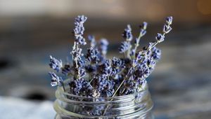 Preview wallpaper lavender, flowers, jar, dry